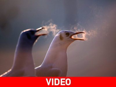 Βρετανία: Μείον δεν είναι μόνο… το ταμείον